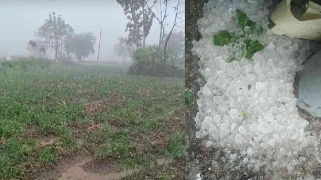 Weather forecast in Maharashtra
